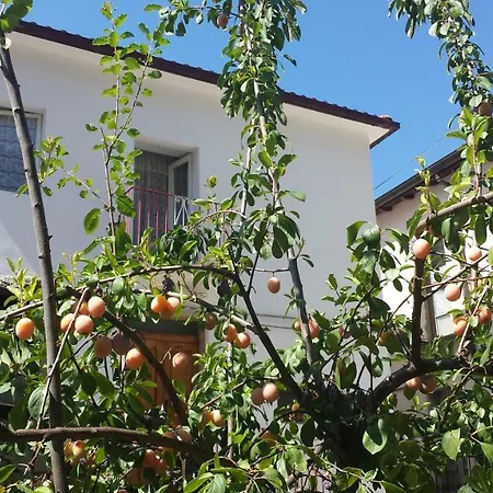 Casa Fermina A 5 Minuti Da Sulmona * Introdacqua